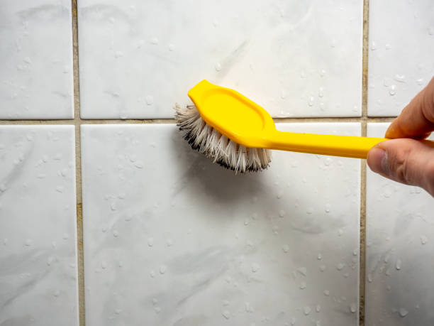 Best Health and Safety Mold Remediation in Burt, MI