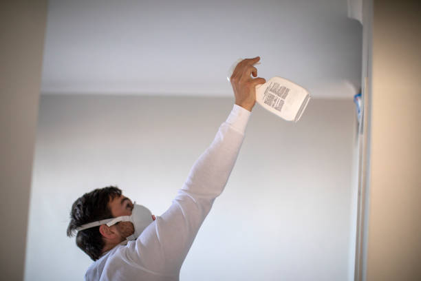 Professional Mold Remediation in Burt, MI