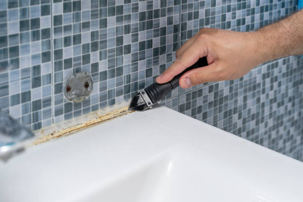 Best White Mold Remediation in Burt, MI