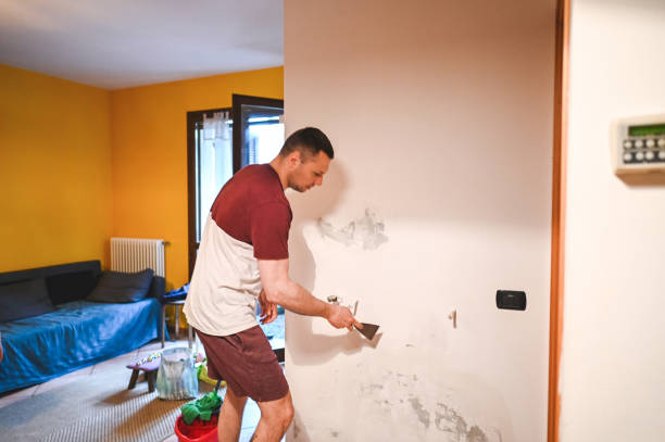 Best Post-Flood Mold Remediation in Burt, MI